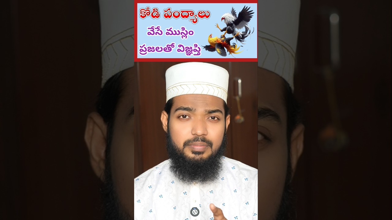కోడి పంద్యాలు వేసే ముస్లిం ప్రజలతో విజ్ఞప్తి || Betting in Sankranti  