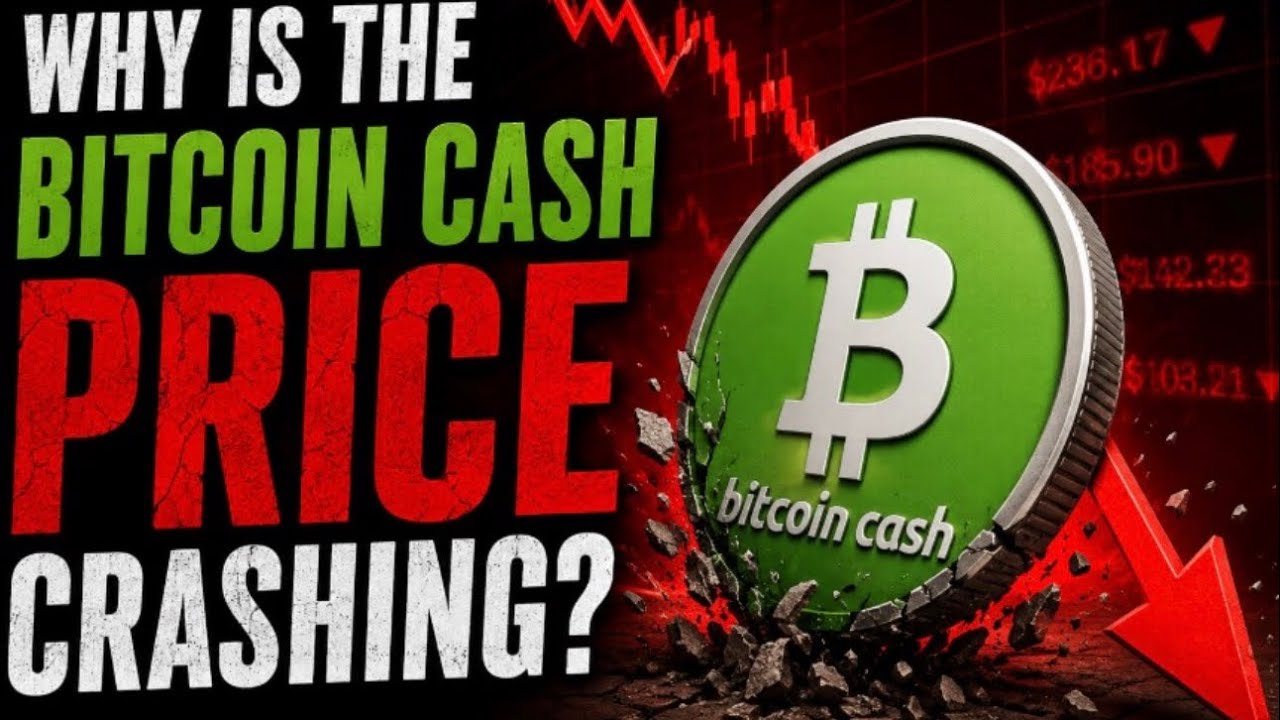 Dlaczego cena Bitcoin Cash spada?