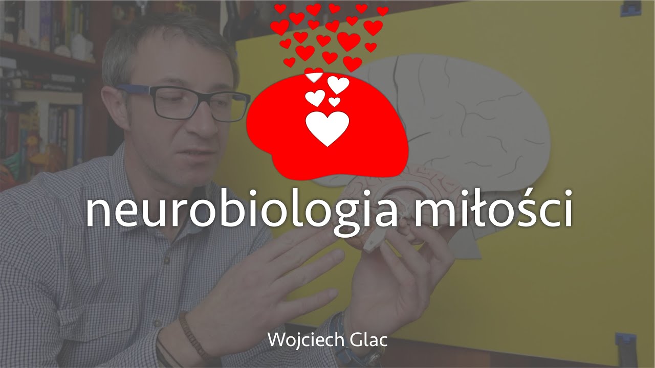 Neurobiologia miłości