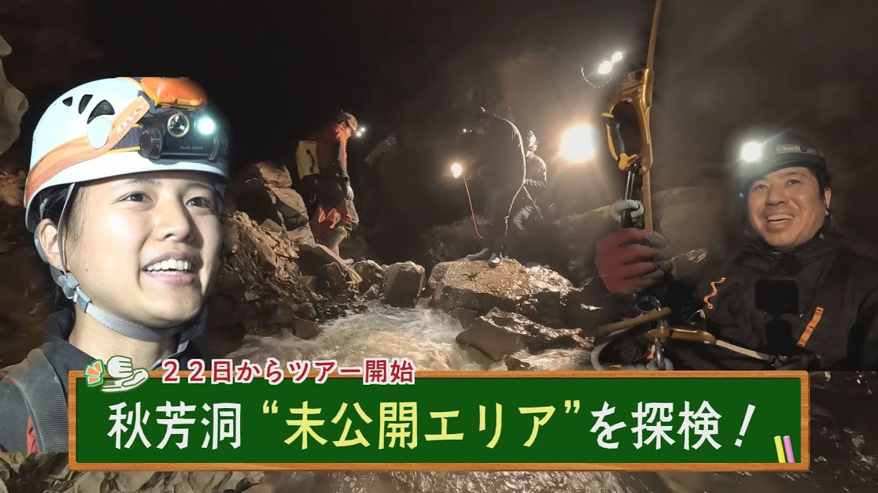 探検！秋芳洞の”未公開エリア”　地下に広がる驚きの世界