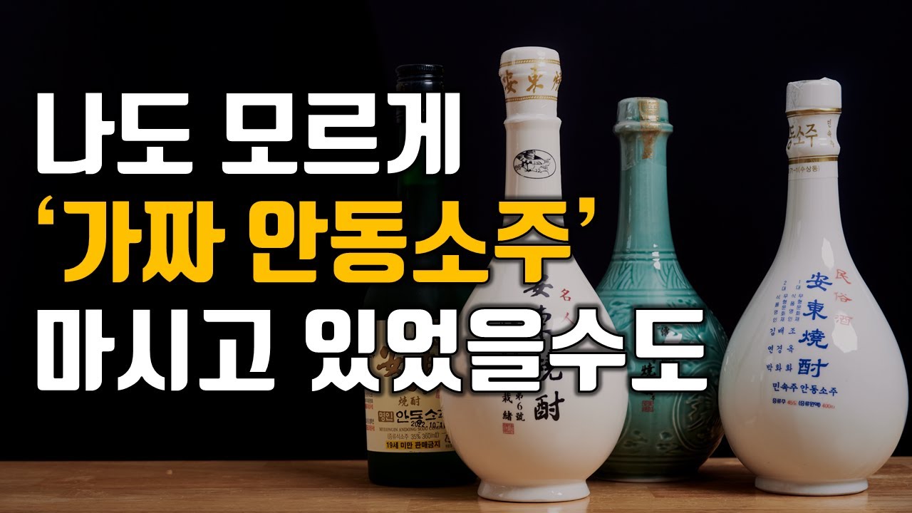 속지마세요 '진짜 안동소주' 제대로 추천해드립니다!