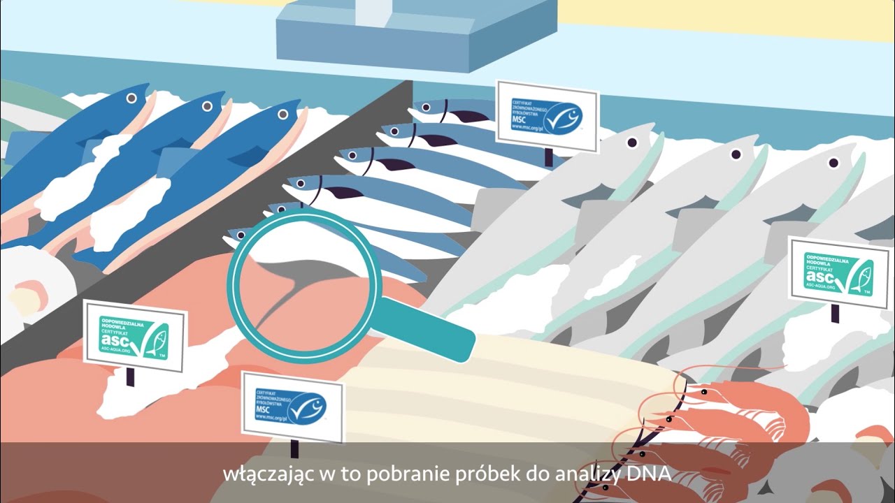 Certyfikacja stoisk rybnych według Standardu Łańcucha Dostaw MSC i ASC