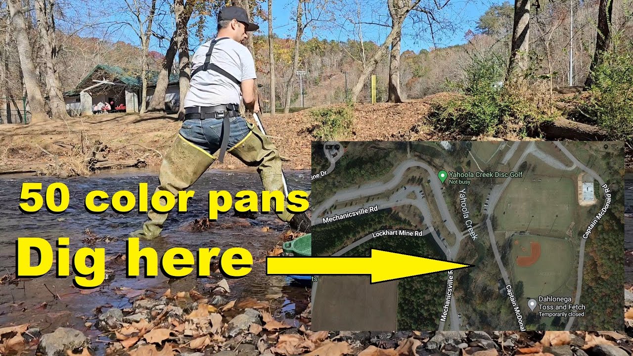 This public park in Georgia is LOADED WITH GOLD!!!