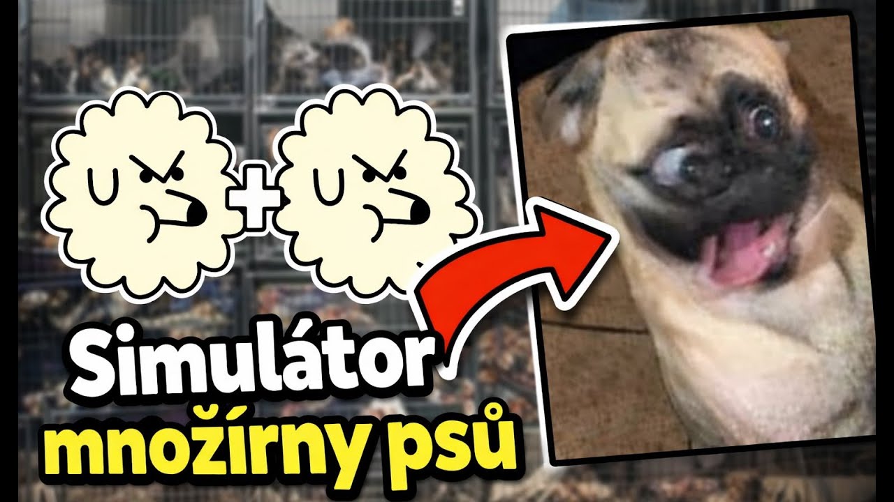 Simulátor Psí Evoluce - Dogpile