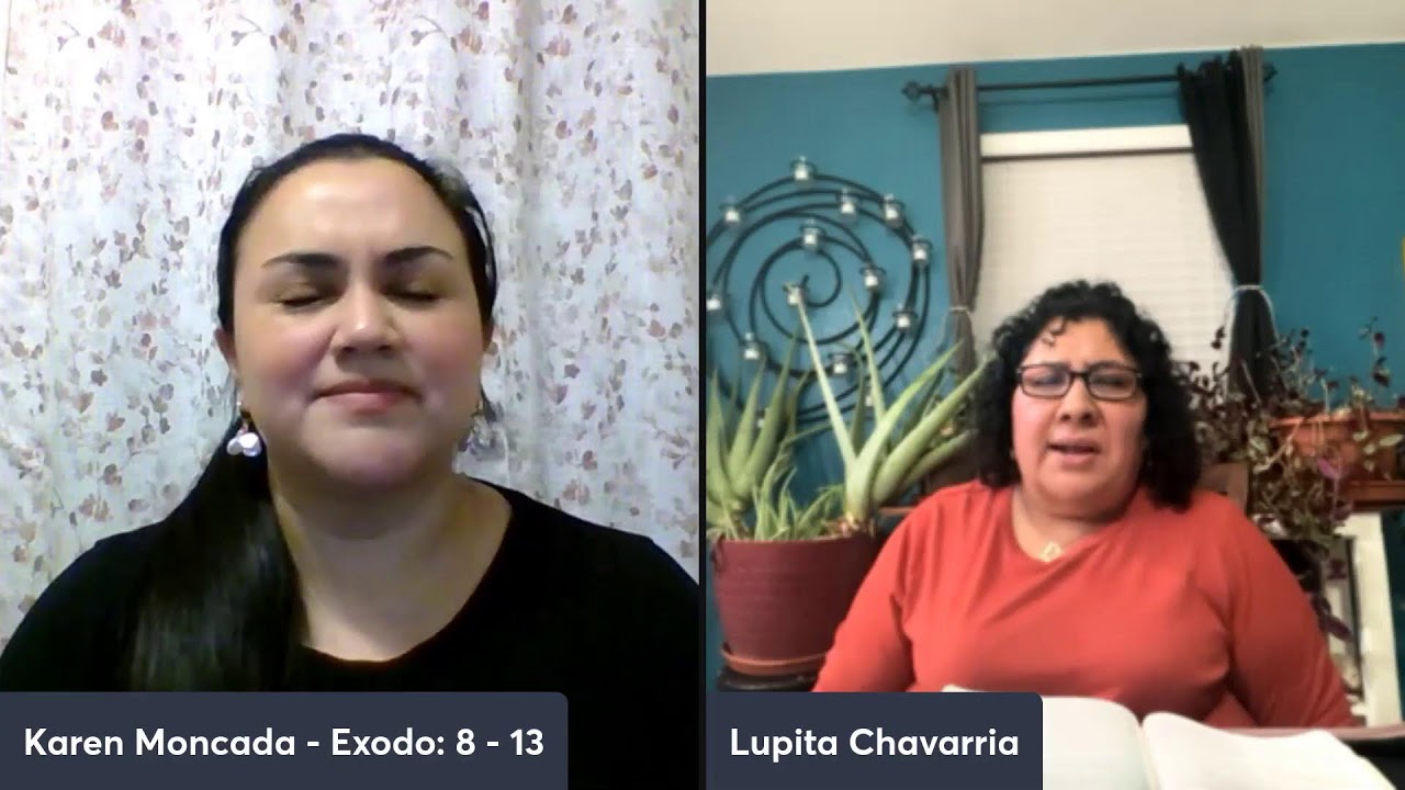 Dia #10 - Exodo: 8 - 13 Reto de lectura biblica en 6 meses