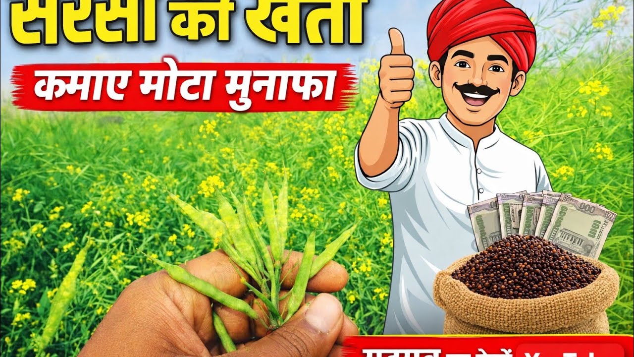 Aj Apne Khet Dekhne Aagye #nature #dallyblog #minivlog #vlog 