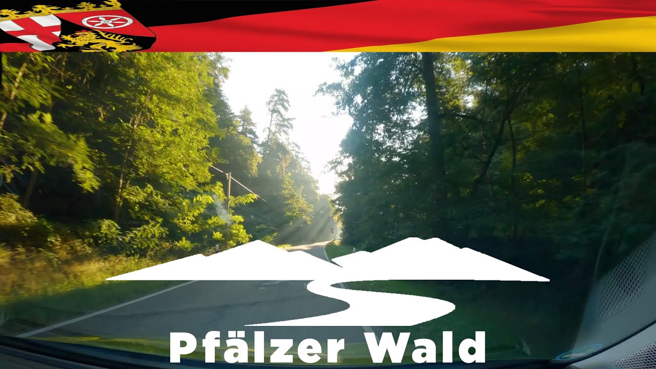 Scenic Drive Germany: Rotsteig (Lambrecht - Wachenheim a. d. Weinstraße) | 4K