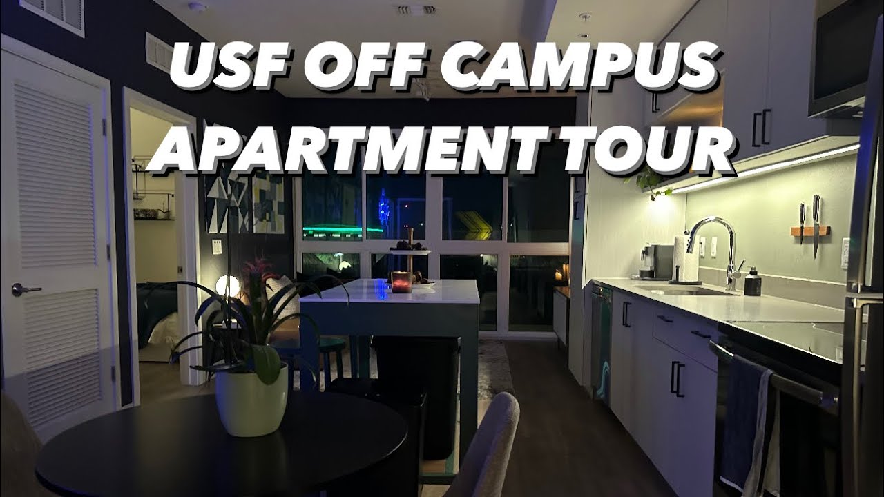 USF Off Campus Apartment In Depth Tour