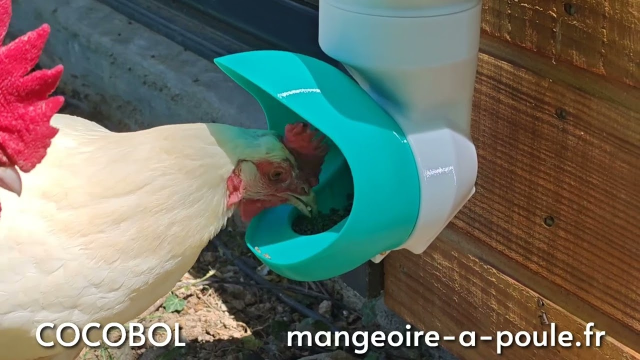 Mangeoire &agrave; poule Cocobol : anti gaspillage et anti rat. Fabriqu&eacute; en France