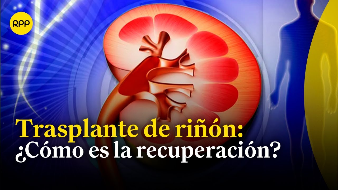 Trasplante de riñón: ¿Cómo es la recuperación del paciente?