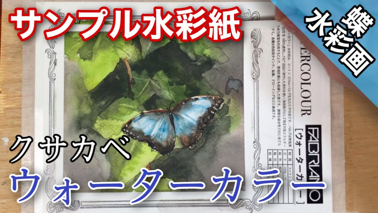 【サンプル水彩紙】クサカベ ファブリアーノ ウォーターカラーで蝶を描く/描き方 つらら庵 透明水彩 Water color