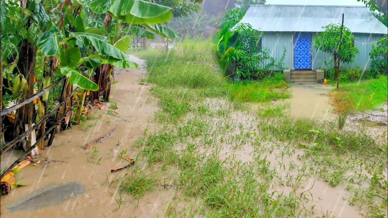 Heavy Rain and Stormy Wind in the Village | Sleep Peacefully with Nature Sound | ASMR | Village Rain