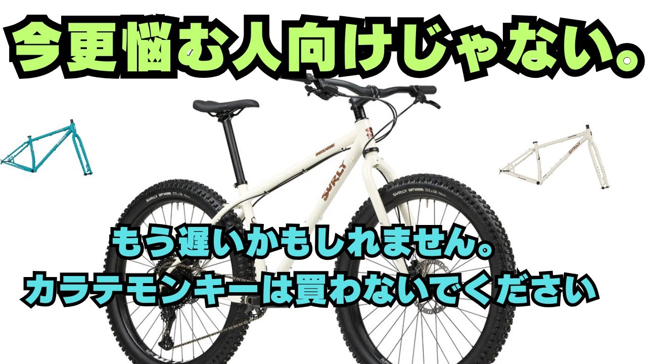 今更検討してるなら、カラテモンキーは買わないでください