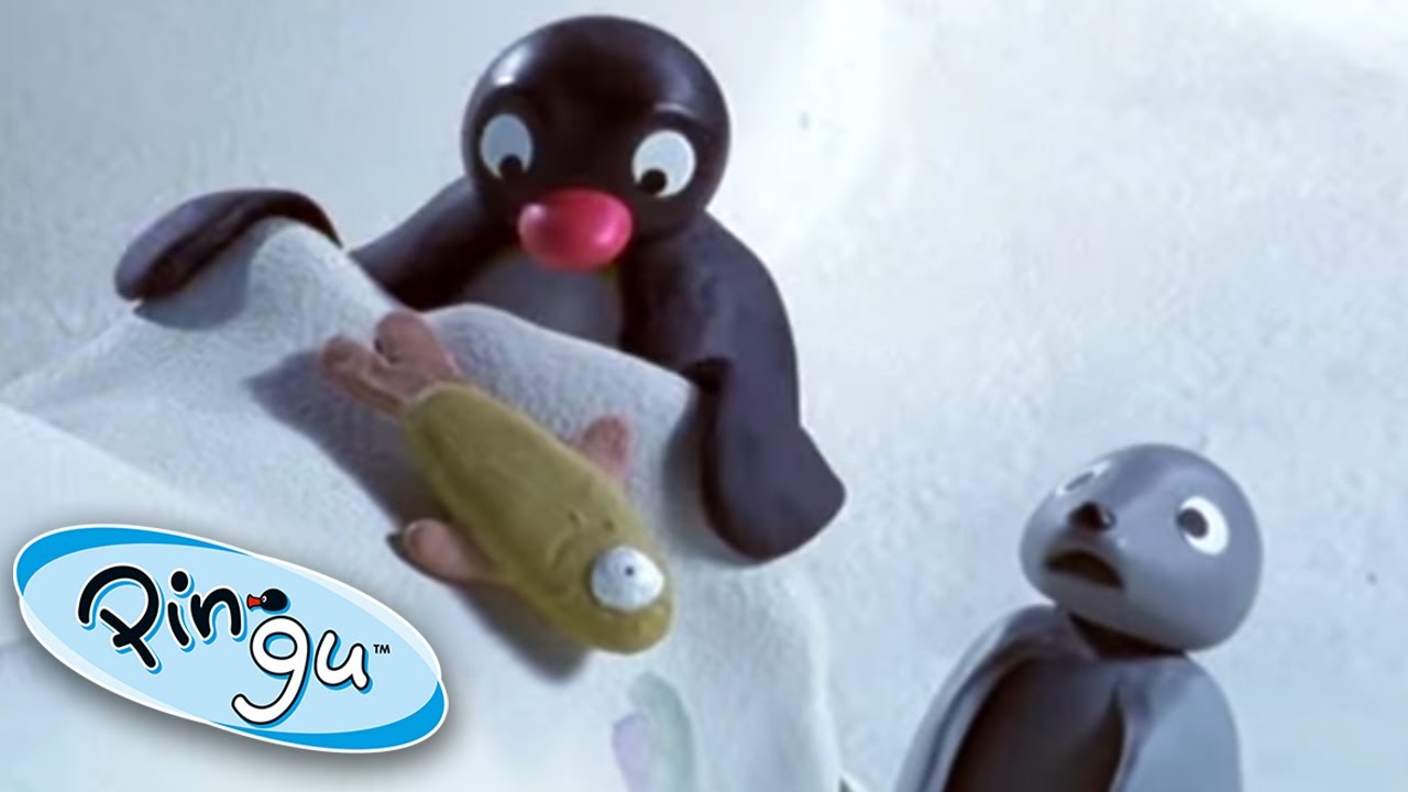 Pingu almost Loses his Fish | Pingu Official | Cartoons for Kids