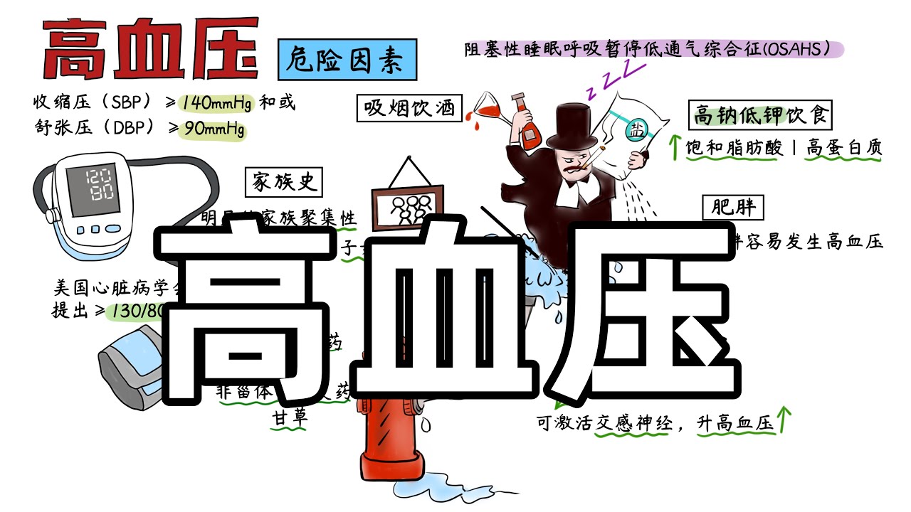 ＃医学手绘精讲 | 高血压（1）病因+发病机制+降血压药物 Hypertension (1) Causes + pathogenesis + antihypertensive drugs
