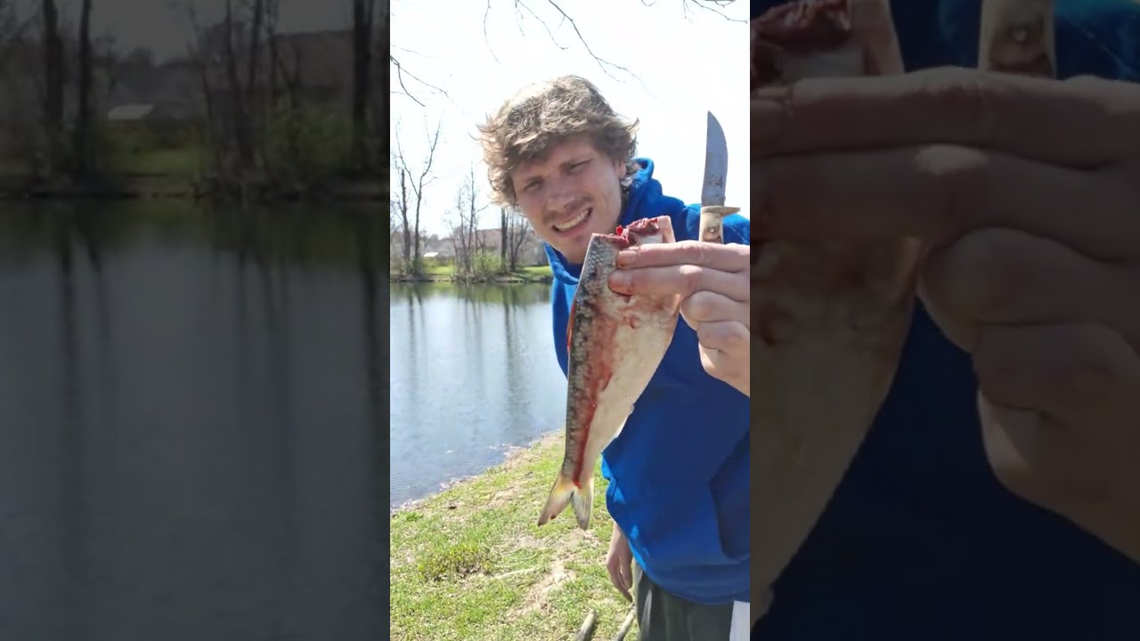 Fishing for your entertainment. #Fishing #Entertainment