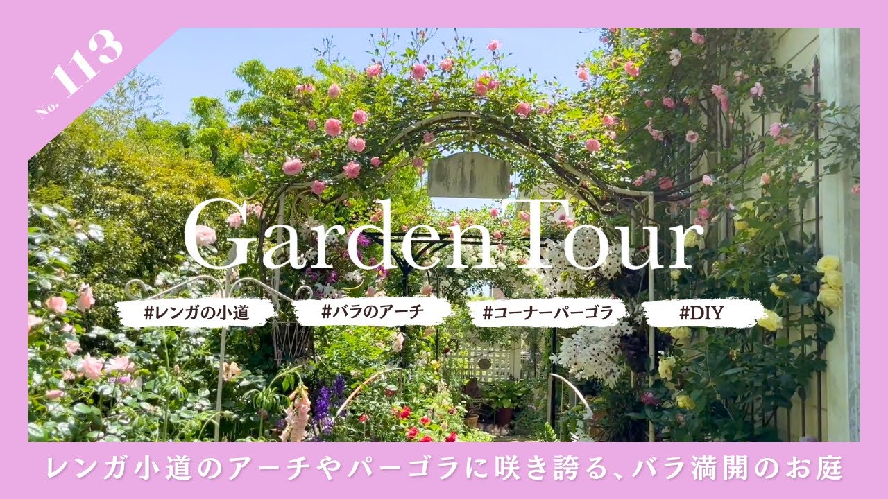🕊Garden Tour🕊113：レンガの小道のアーチやコーナーパーゴラに咲き誇る、バラ満開のお庭
