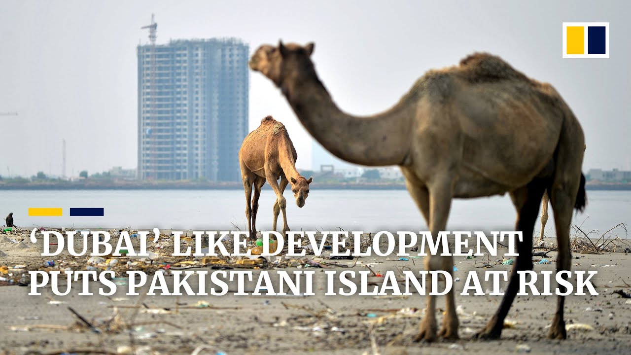 In Pakistan, environmentalists clash with government developers over future of Karachi island