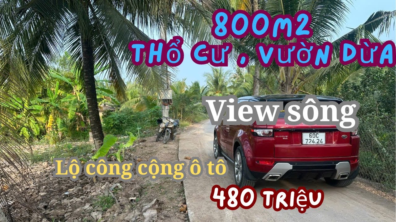 MS1990: Trọn thửa 480 triệu, 800m2 vườn thổ view sông cửa đại 