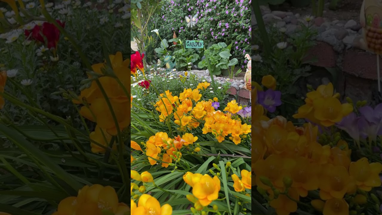Natures Beauty/Birds Singing/Peaceful Garden/Relaxing