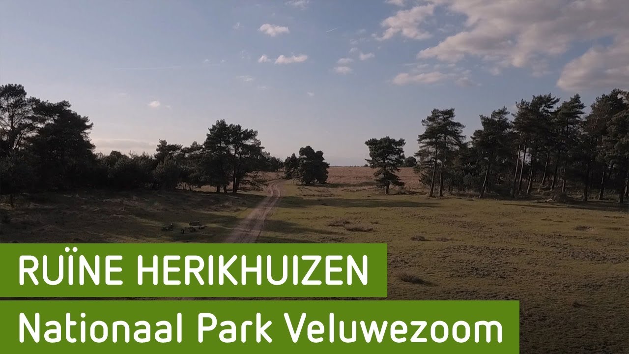 Ruïne Herikhuizen | Veluwezoom