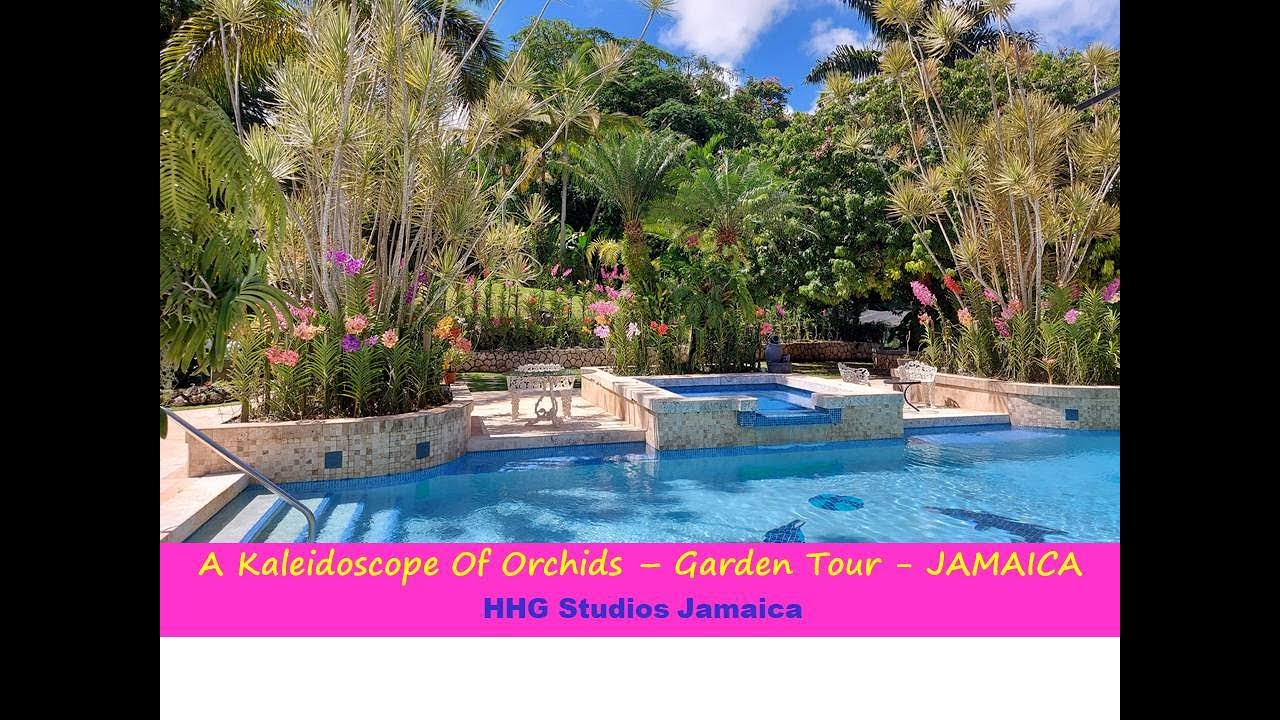 A Kaleidoscope of Orchids - Garden Tour || JAMAICA
