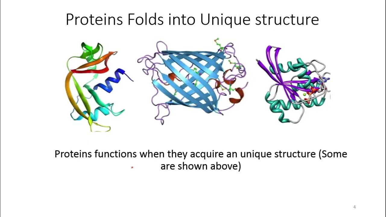Ab initio Structure Prediction 1