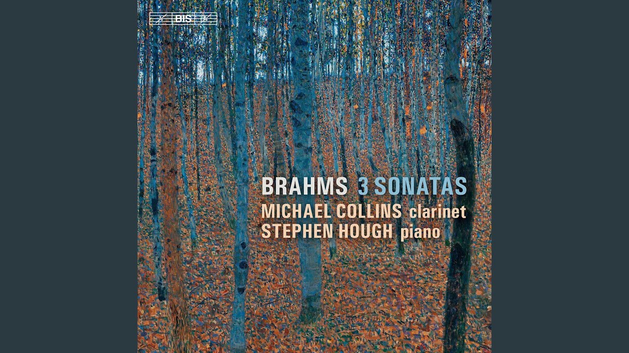 Clarinet Sonata No. 2 in E-Flat Major, Op. 120 No. 2: I. Allegro amabile