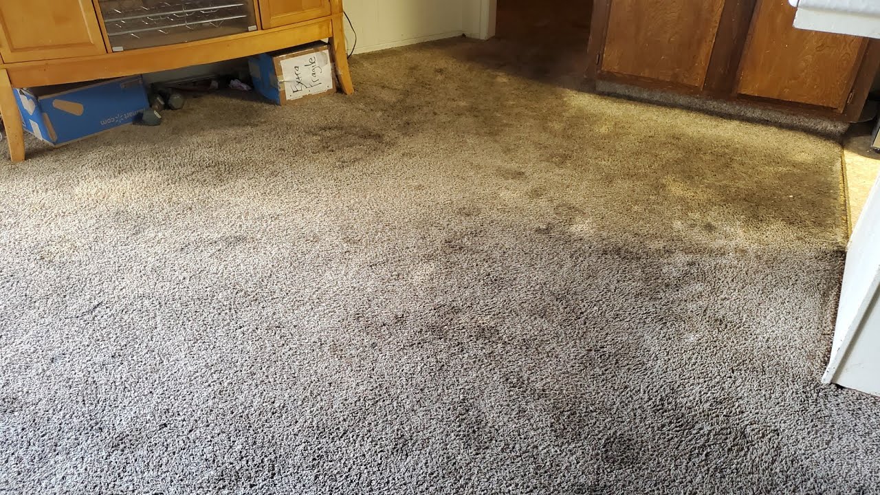 Crazy Heavily Soiled and Oddly Satisfying Carpet Cleaning ASMR