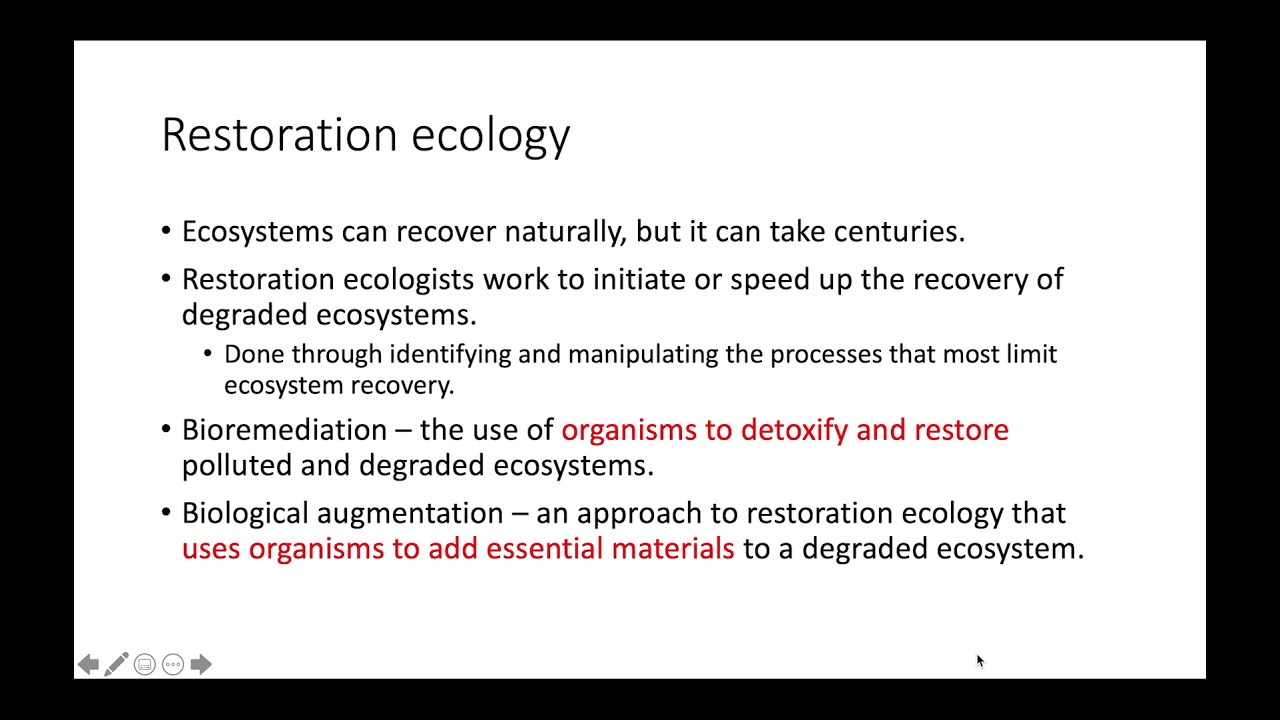 Restoration Ecology