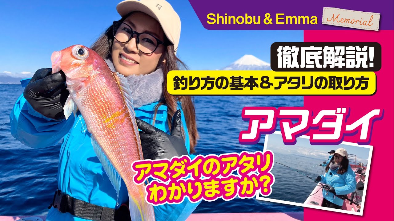 [アマダイ 3]　アマダイのアタリわかりますか？ ～釣り方の基本編～