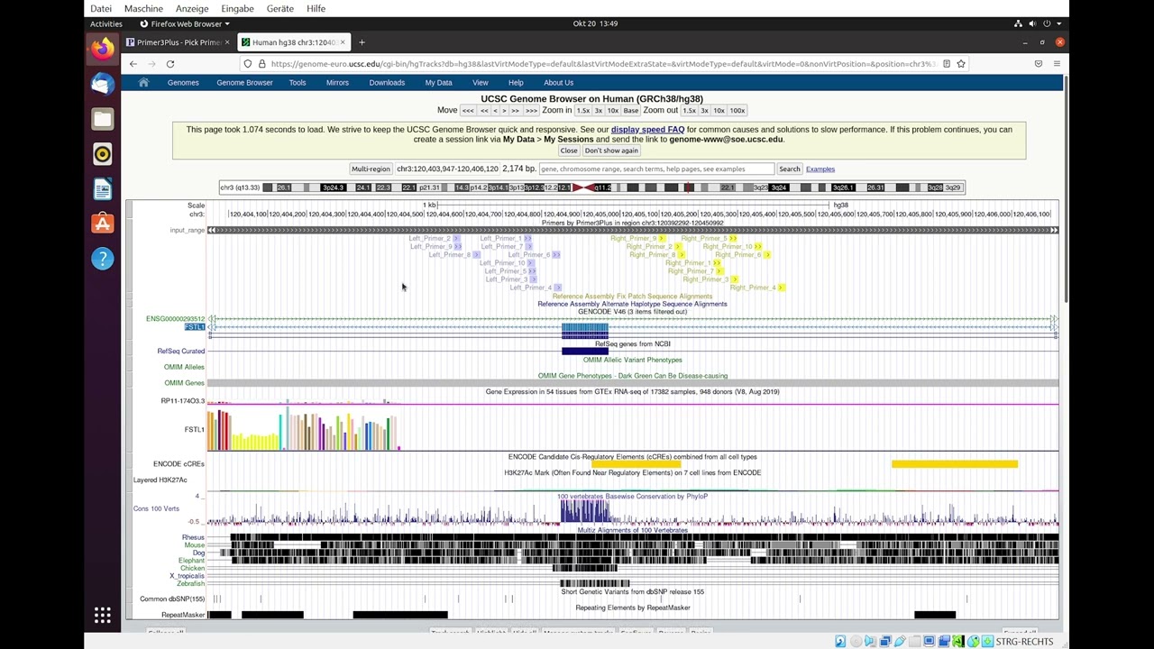 Genome Browser and Primer3Plus