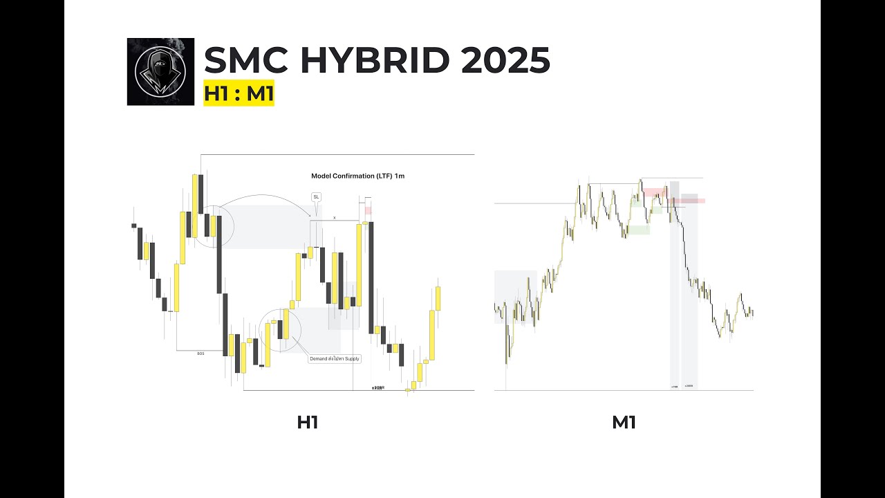 SMC HYBRID 2025 NinjaThai