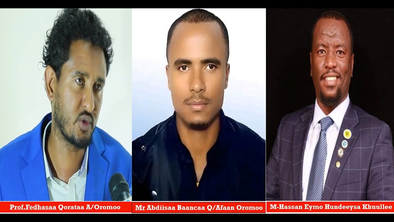HNN: Qubee Afaan Oromoo-rratti maaltu hojjatamaa jira? Amajjii 31, 2024