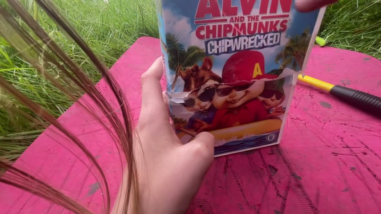 Destroying Alvin and the chipmunks DVD @evan___kumar