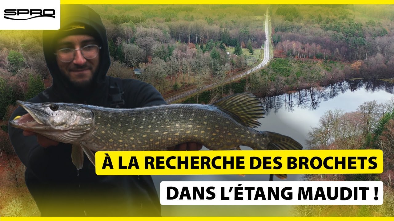 A la Recherche des Brochets dans l'Etang Maudit
