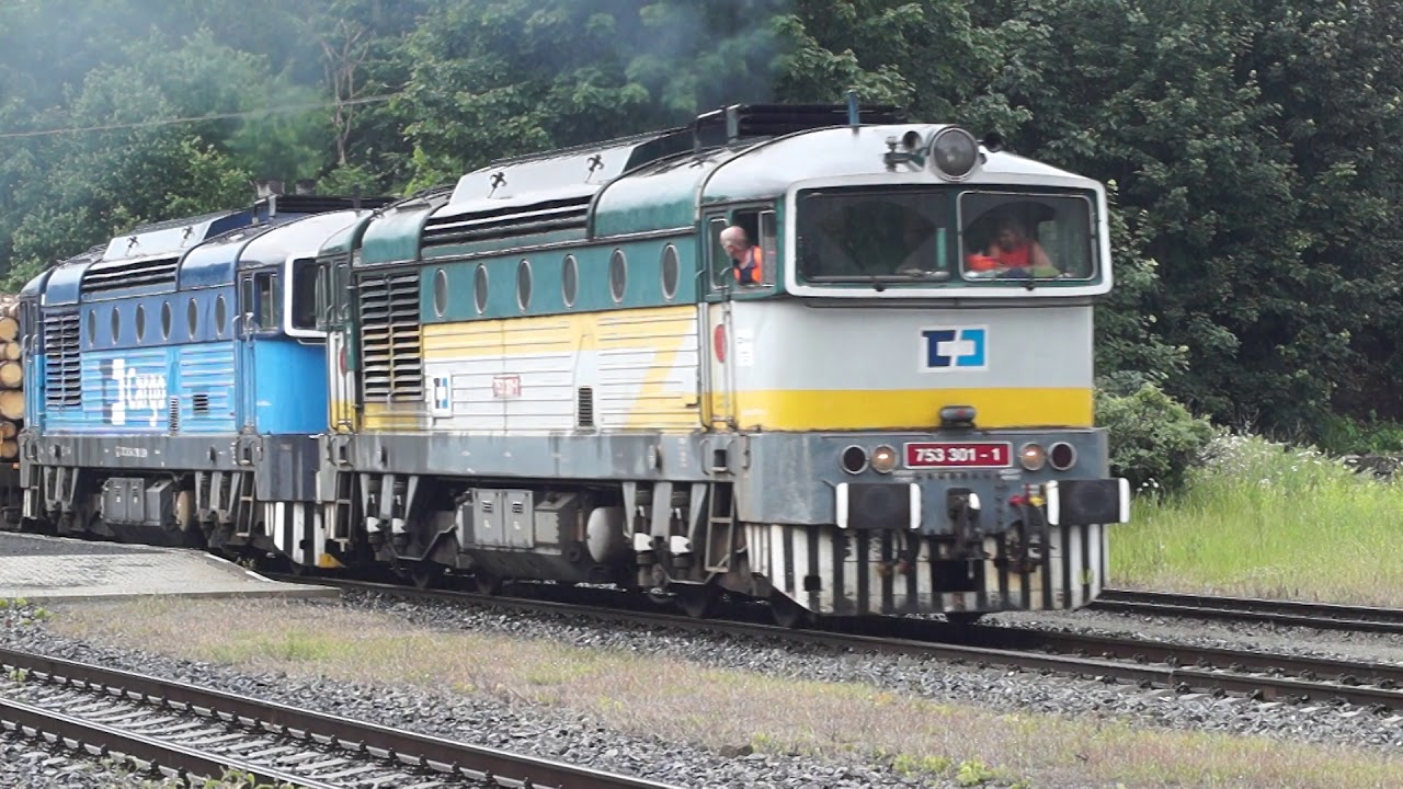 753 301-1 und 750 061-4, 844 026-5, 845 308-6,T 478 1146 und 742 225-6 am 24.06.2020