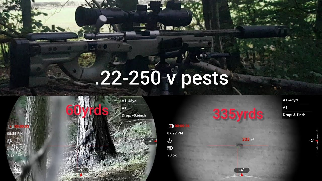 .22-250 отстрел вредителей, Alpex 4K, Remington 700