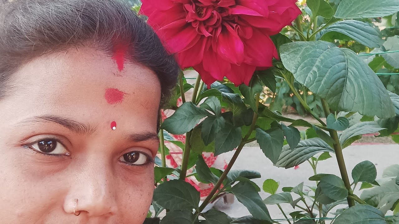 Akele Tum Akele Hum 🥺