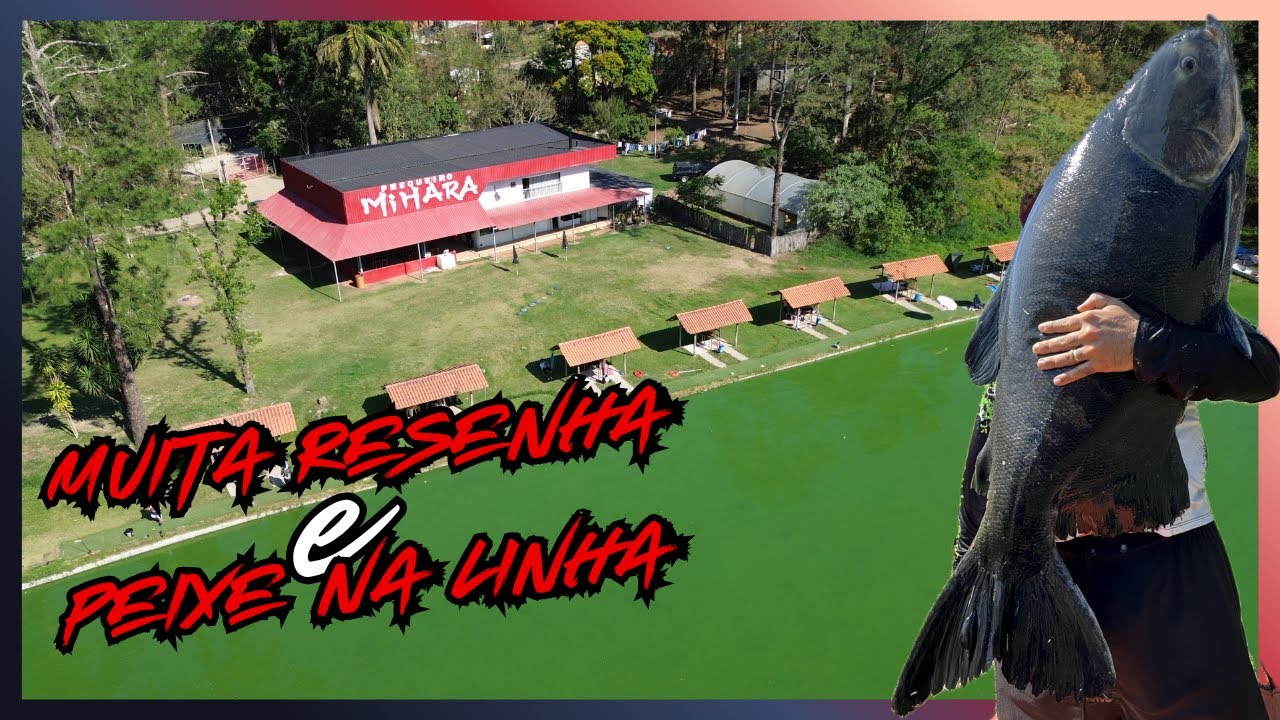 Pesqueiro Mihara | Pescaria difícil mais a nave saiu