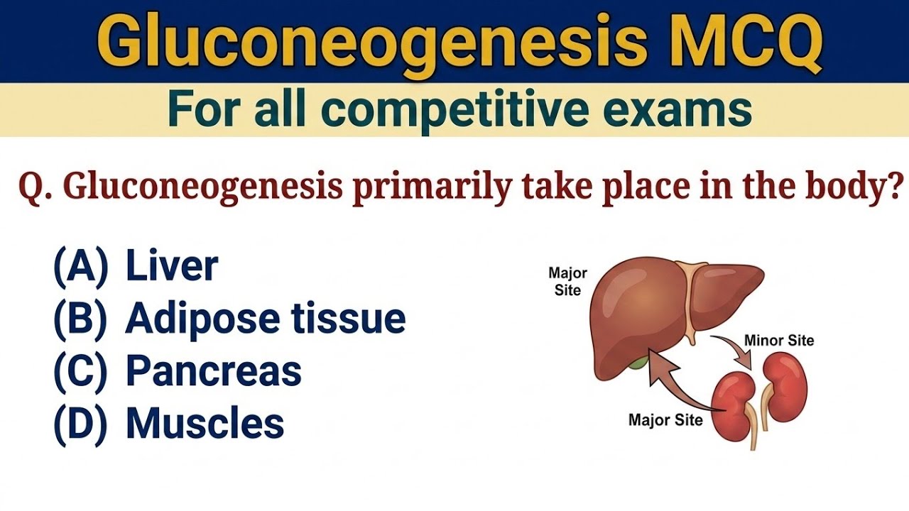 Biochemistry MCQ with Answers | Gluconeogenesis MCQ For Competitive Exams