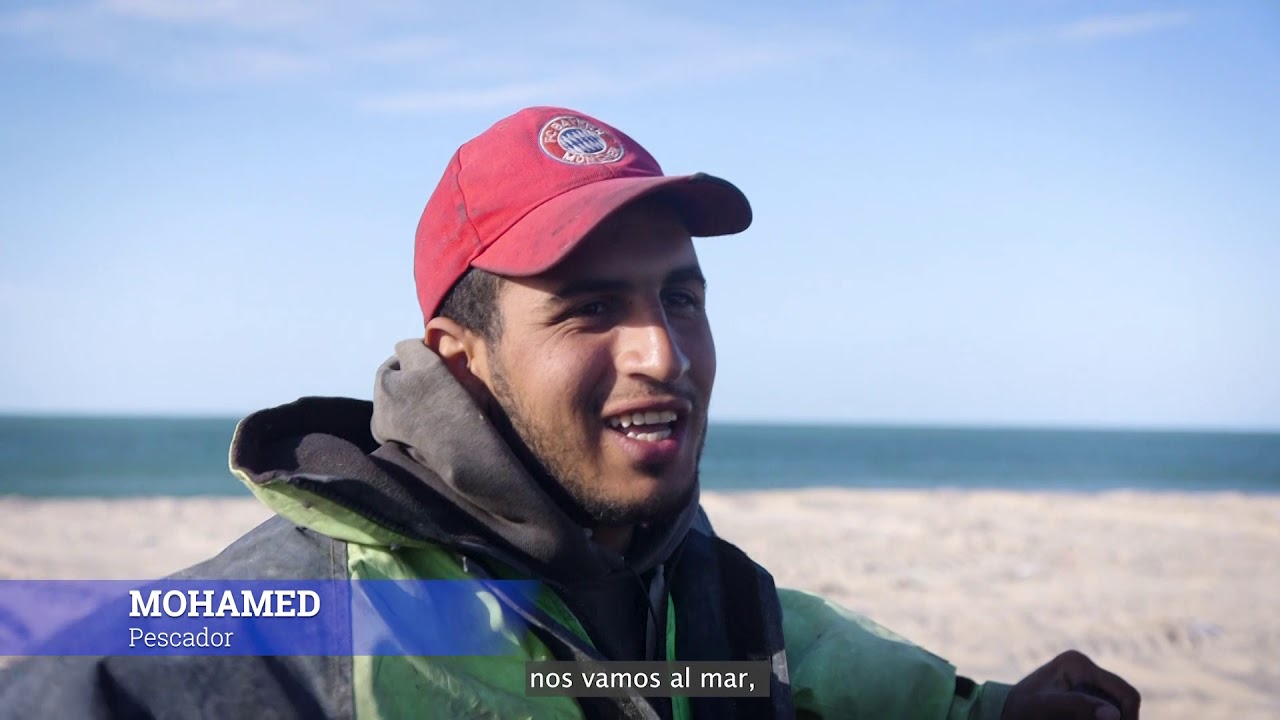 ¿Cómo se pesca el pulpo de manera artesanal? - DISCEFA