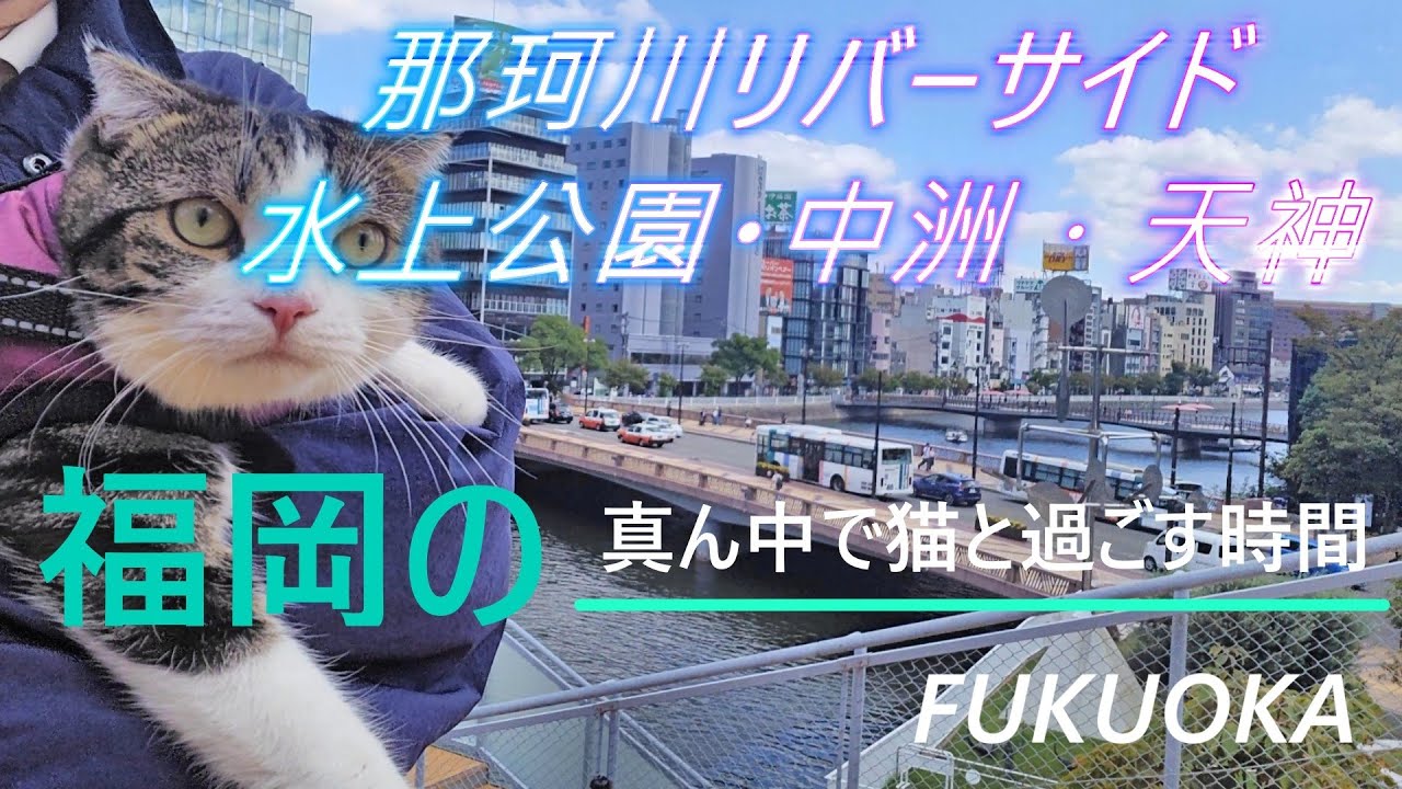 【福岡市都会の真ん中で猫と過ごす時間】那珂川リバーサイド、中洲、水上公園、天神、ペット同伴ＯＫイタリアンカフェ etc.