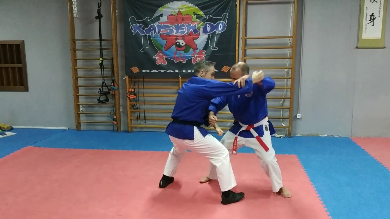 Defensa personal Kaisendo Kyoshi David Domingo
