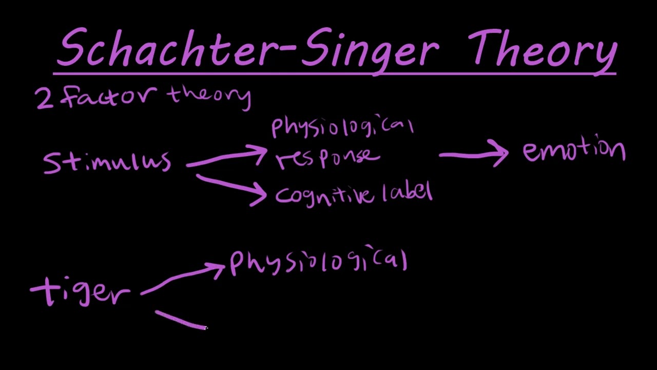 The Schachter-Singer two factor theory of emotion explained