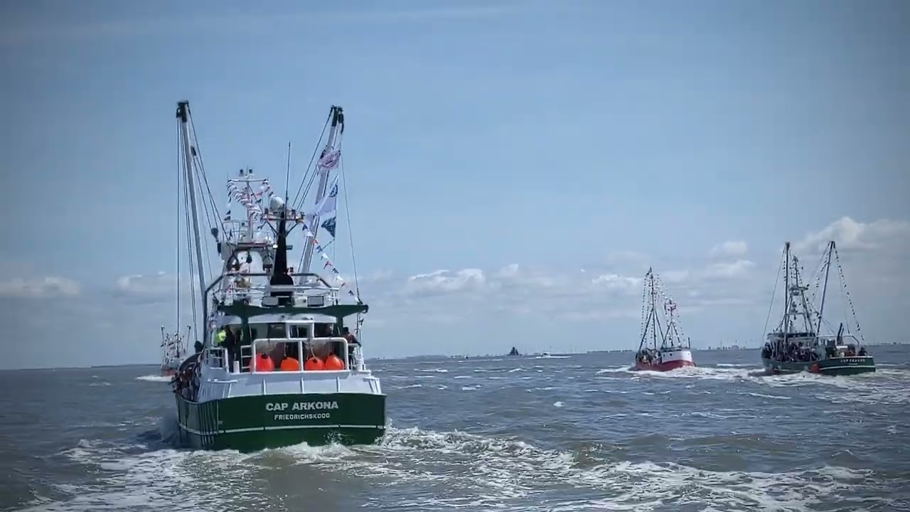 Papierbootregatta und Kutterregatta auf den B&uuml;sumer Kutterregattatagen 2022