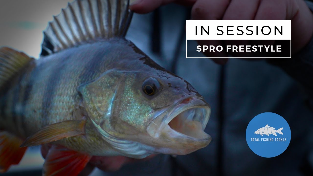 In Session | Perch Fishing With Spro Freestyle