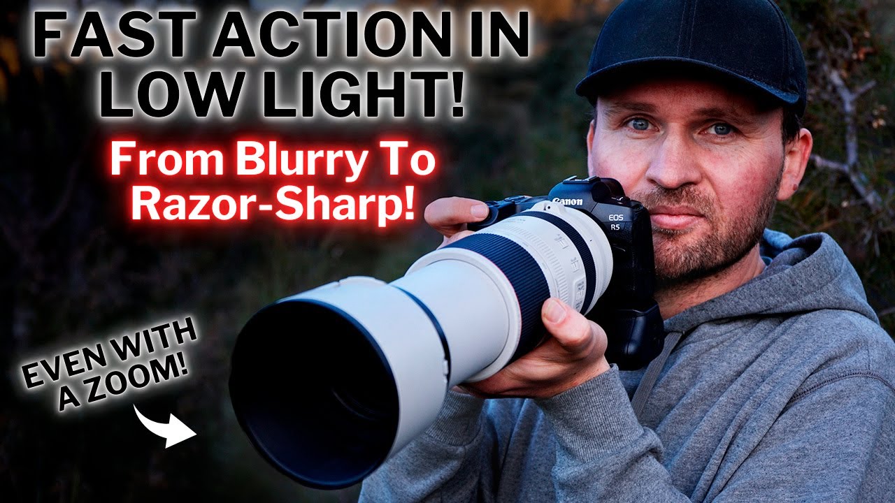 Fast Action in Low Light! |  Razor-Sharp Birds-of-Paradise!
