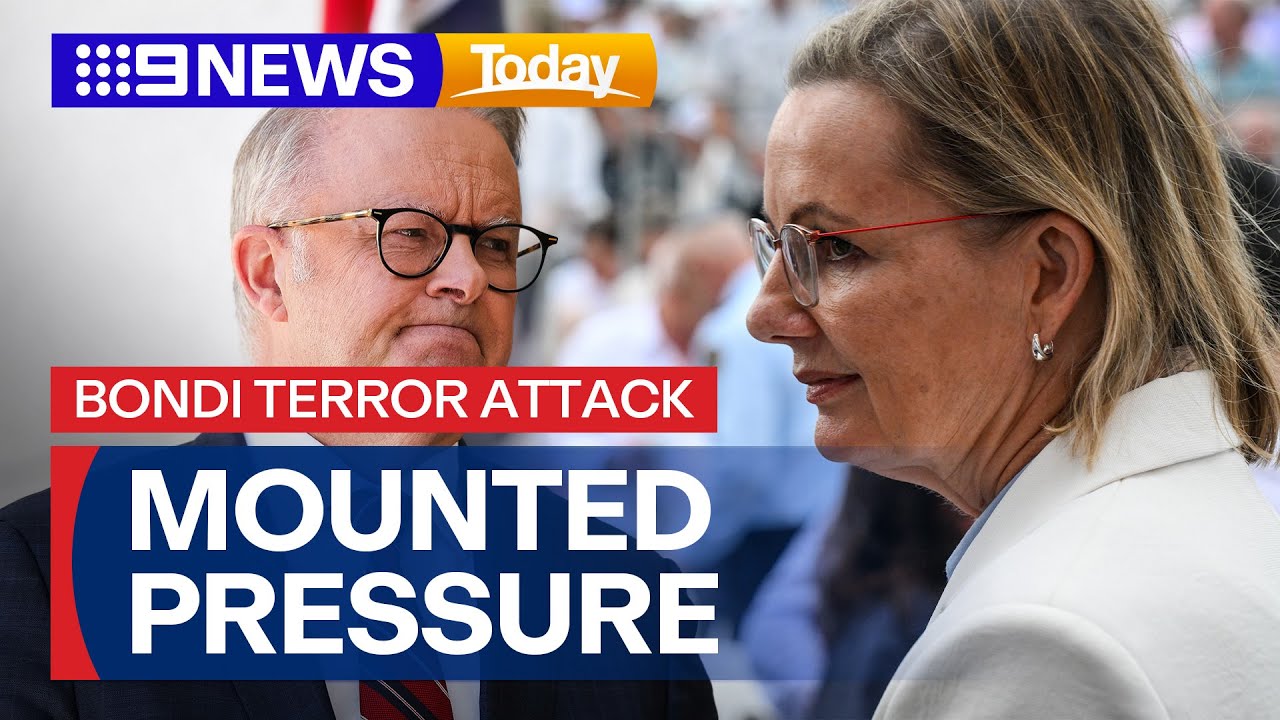 PM Albanese faces mounting pressure to launch a federal Royal Commission | 9 News Australia