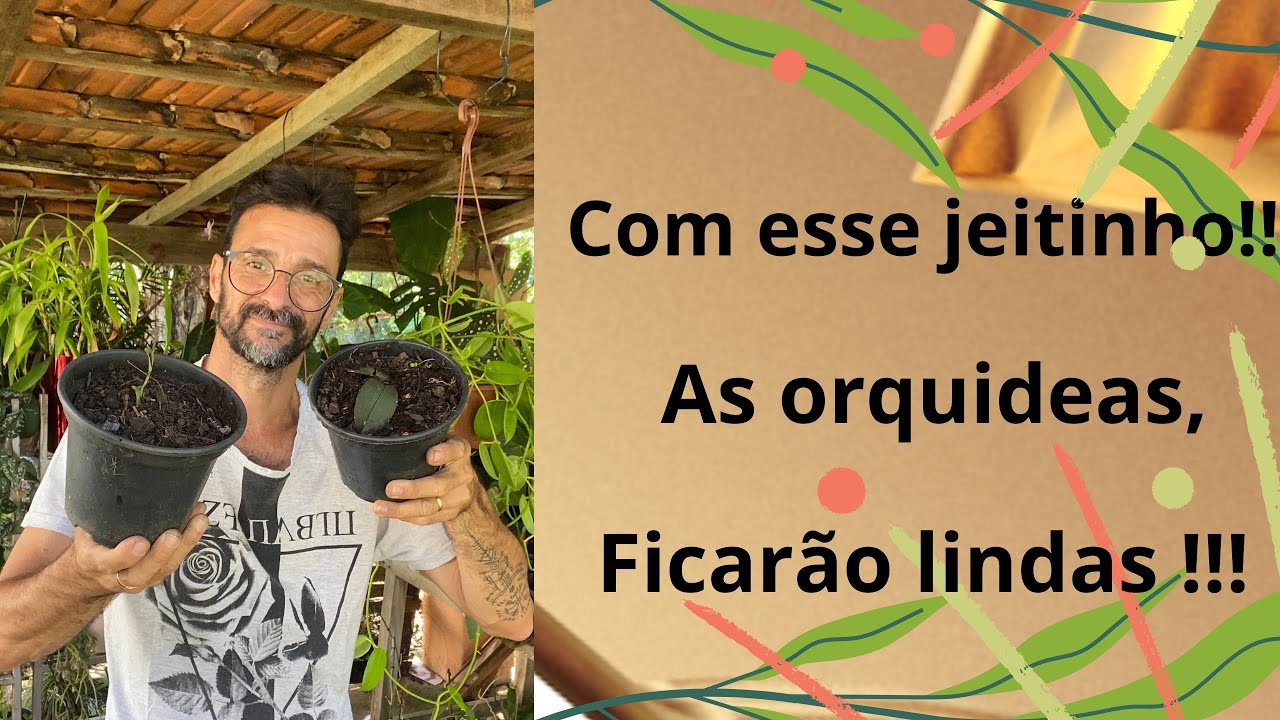 Com esse jeitinho !! As orquídeas, Ficarão lindas !!!